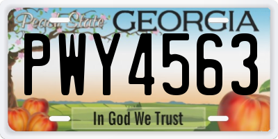 GA license plate PWY4563