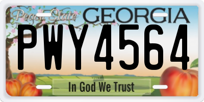 GA license plate PWY4564