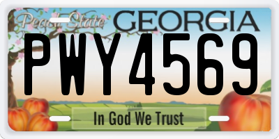 GA license plate PWY4569