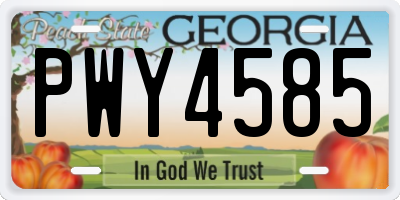 GA license plate PWY4585