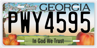 GA license plate PWY4595