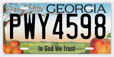 GA license plate PWY4598