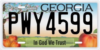GA license plate PWY4599