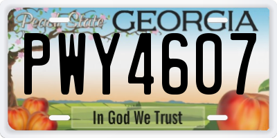 GA license plate PWY4607