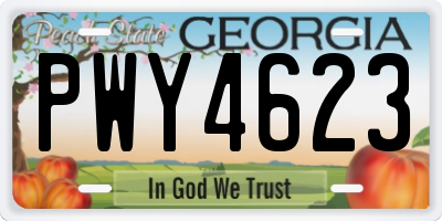GA license plate PWY4623