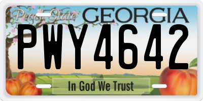 GA license plate PWY4642
