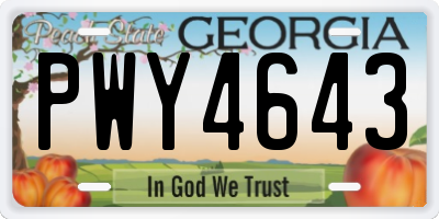 GA license plate PWY4643