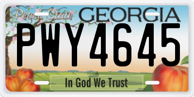GA license plate PWY4645