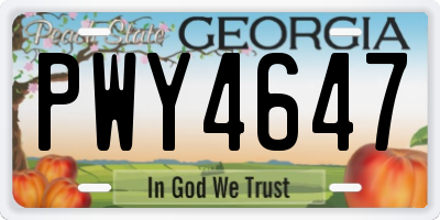 GA license plate PWY4647
