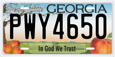 GA license plate PWY4650