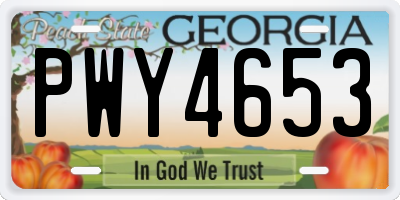 GA license plate PWY4653