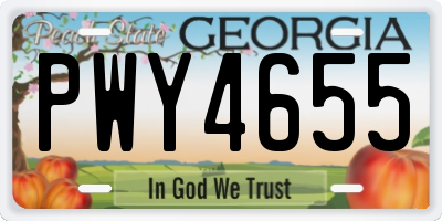 GA license plate PWY4655
