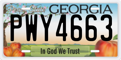 GA license plate PWY4663