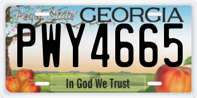 GA license plate PWY4665