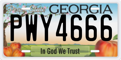 GA license plate PWY4666