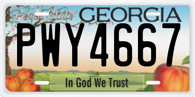 GA license plate PWY4667