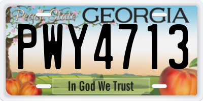 GA license plate PWY4713
