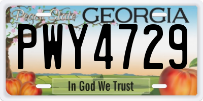 GA license plate PWY4729