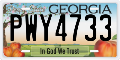 GA license plate PWY4733