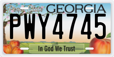 GA license plate PWY4745