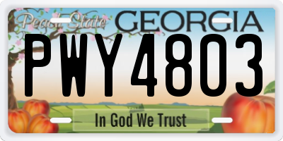 GA license plate PWY4803
