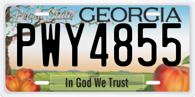 GA license plate PWY4855