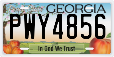 GA license plate PWY4856
