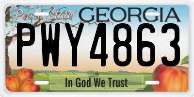 GA license plate PWY4863