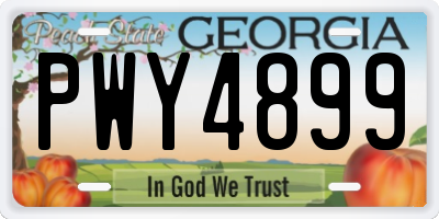 GA license plate PWY4899