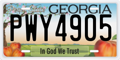 GA license plate PWY4905