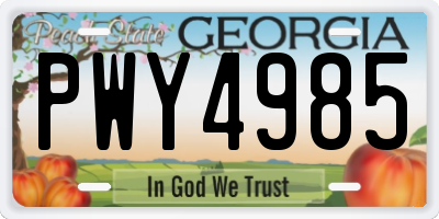 GA license plate PWY4985