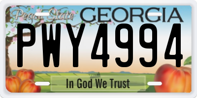 GA license plate PWY4994