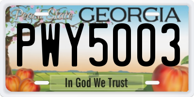 GA license plate PWY5003