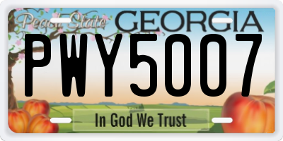 GA license plate PWY5007