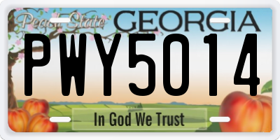GA license plate PWY5014