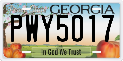 GA license plate PWY5017