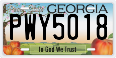 GA license plate PWY5018