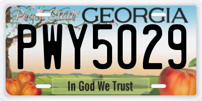 GA license plate PWY5029