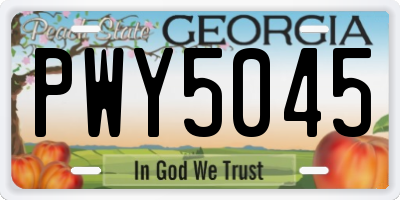 GA license plate PWY5045