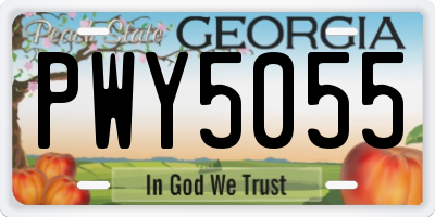GA license plate PWY5055
