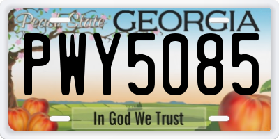 GA license plate PWY5085