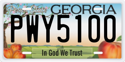 GA license plate PWY5100