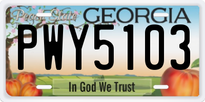 GA license plate PWY5103