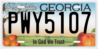 GA license plate PWY5107