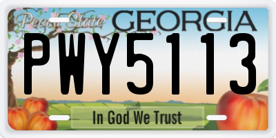 GA license plate PWY5113