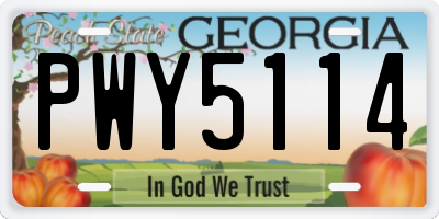 GA license plate PWY5114