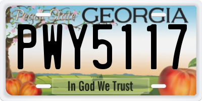 GA license plate PWY5117