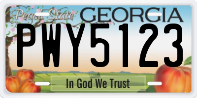 GA license plate PWY5123