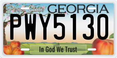 GA license plate PWY5130