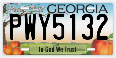 GA license plate PWY5132